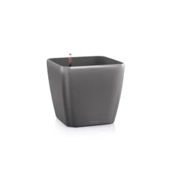 Lechuza Vaso Quadro Premium 43 Set Completo