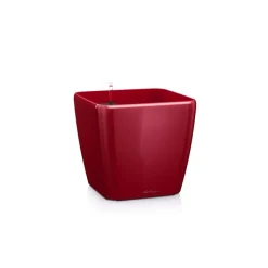 Lechuza Vaso Quadro Premium 43 Set Completo