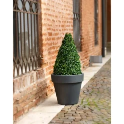 Teraplast Vaso Standard One